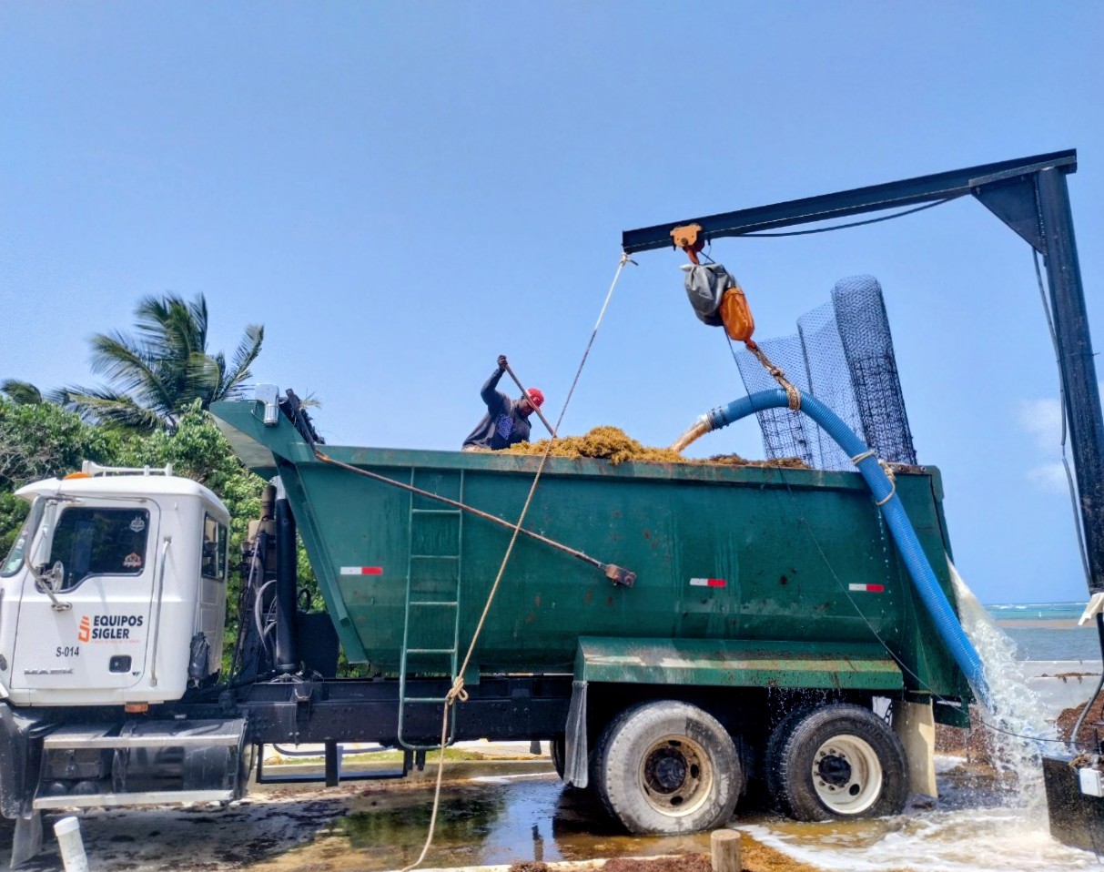 Sargassum biomass pumped through a hose into a green transport truck at a Puerto Rico coastal access point
